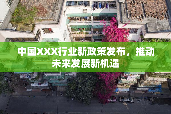 中国XXX行业新政策发布，推动未来发展新机遇