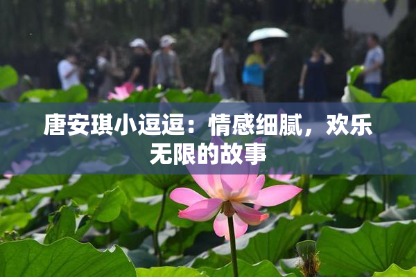 唐安琪小逗逗：情感细腻，欢乐无限的故事