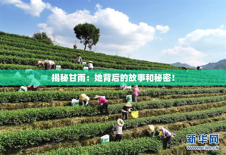 揭秘甘雨：她背后的故事和秘密！