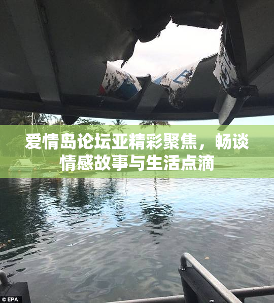 爱情岛论坛亚精彩聚焦，畅谈情感故事与生活点滴