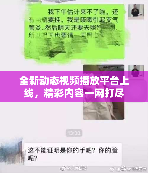 全新动态视频播放平台上线，精彩内容一网打尽