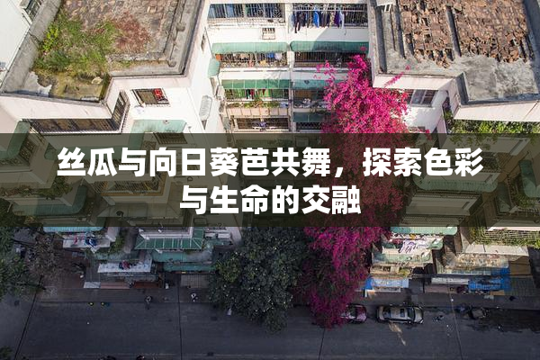 丝瓜与向日葵芭共舞，探索色彩与生命的交融