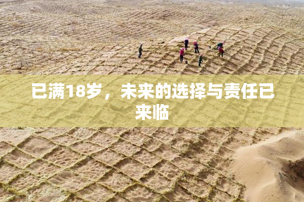 已满18岁，未来的选择与责任已来临