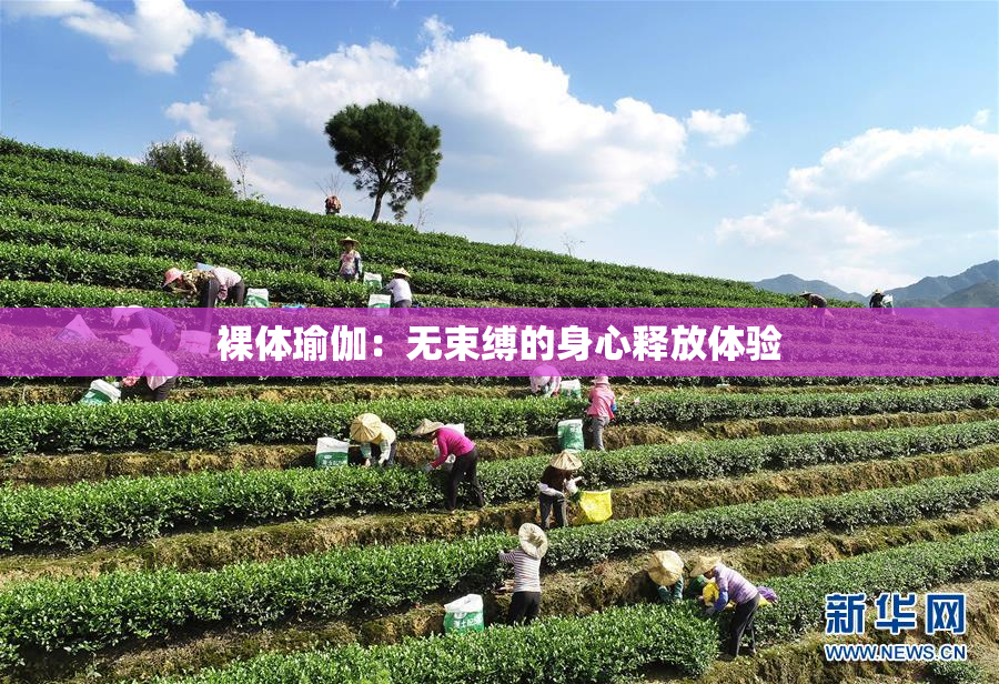 裸体瑜伽：无束缚的身心释放体验