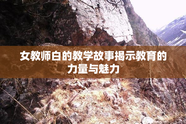 女教师白的教学故事揭示教育的力量与魅力