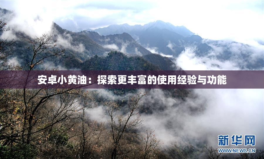 安卓小黄油：探索更丰富的使用经验与功能