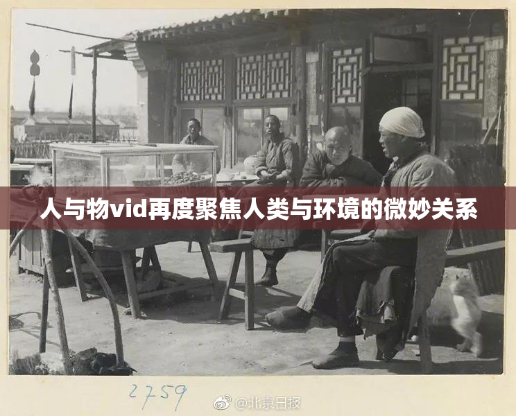 人与物vid再度聚焦人类与环境的微妙关系