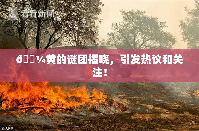 🌼黄的谜团揭晓，引发热议和关注！
