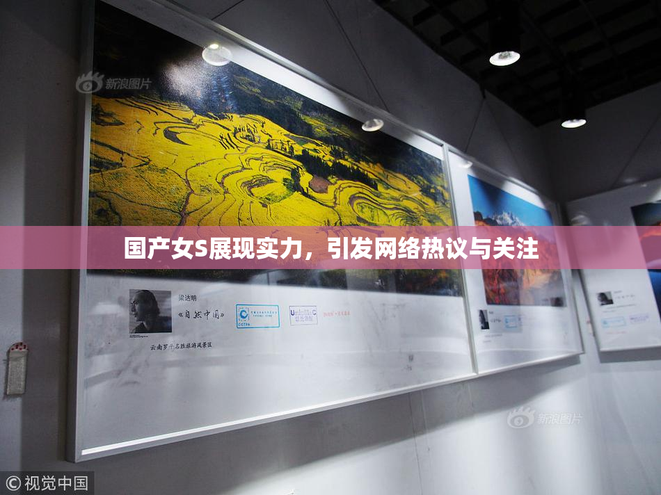 国产女S展现实力，引发网络热议与关注