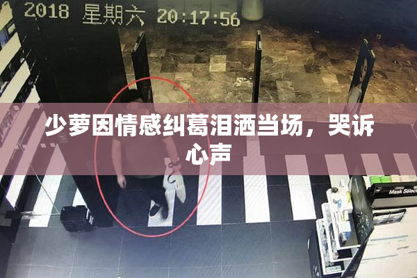 少萝因情感纠葛泪洒当场，哭诉心声
