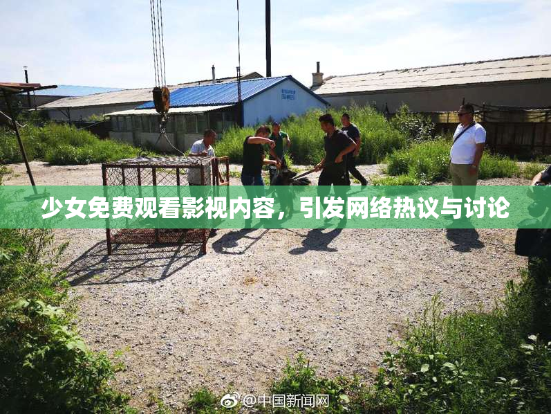 少女免费观看影视内容，引发网络热议与讨论