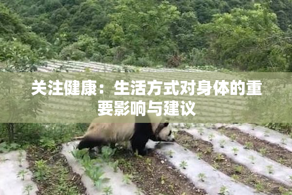 关注健康：生活方式对身体的重要影响与建议