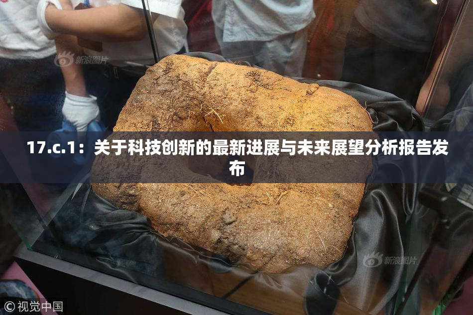 17.c.1：关于科技创新的最新进展与未来展望分析报告发布
