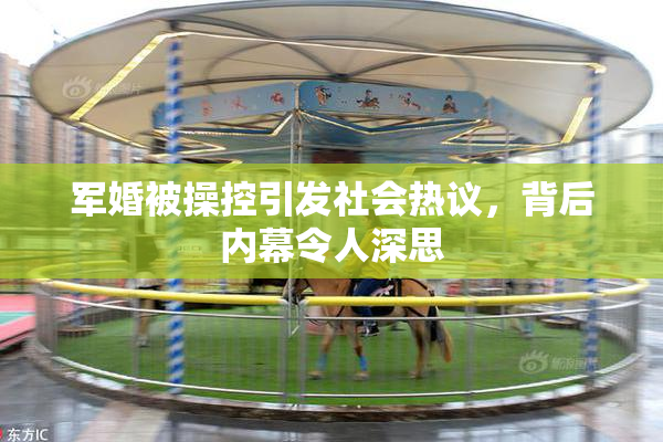军婚被操控引发社会热议，背后内幕令人深思