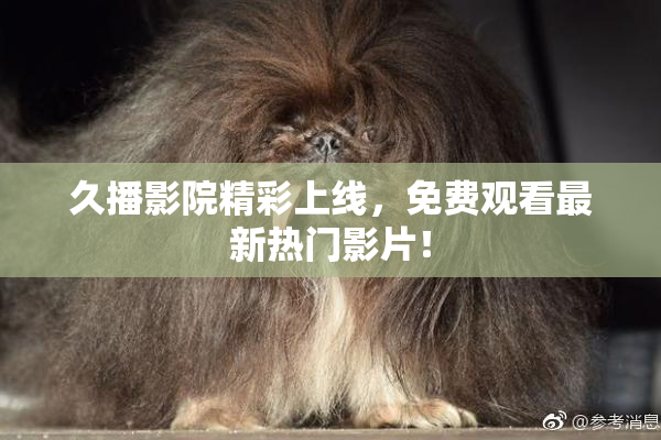 久播影院精彩上线，免费观看最新热门影片！