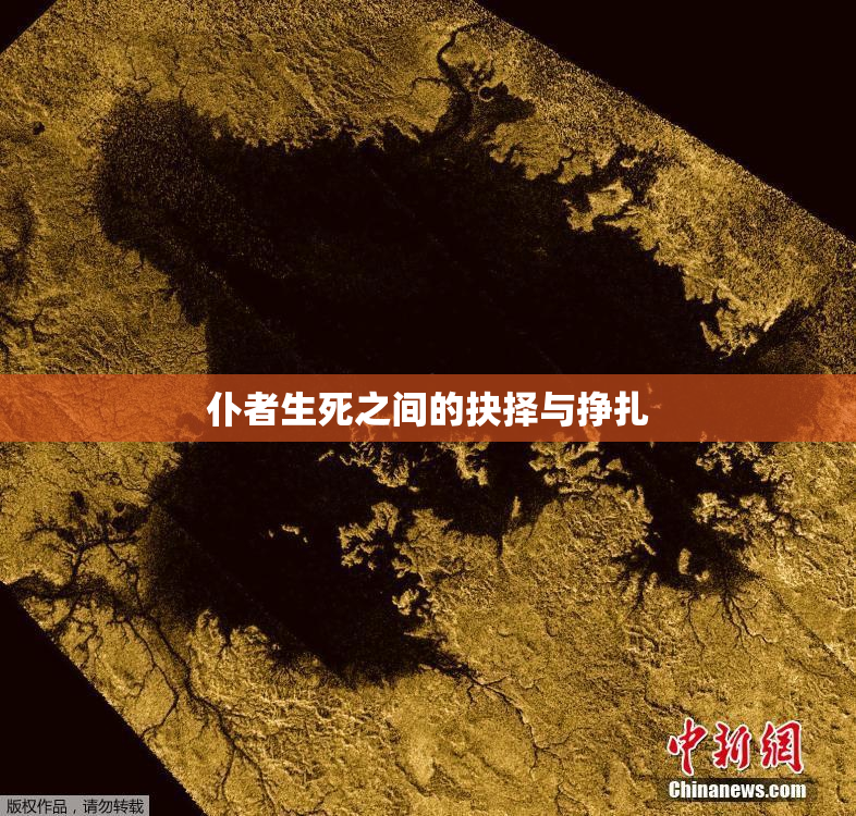 仆者生死之间的抉择与挣扎