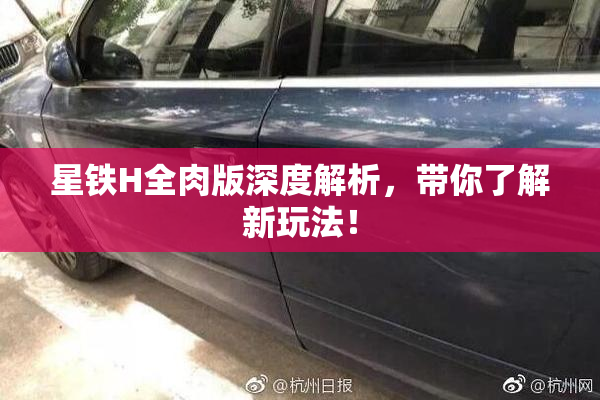星铁H全肉版深度解析，带你了解新玩法！