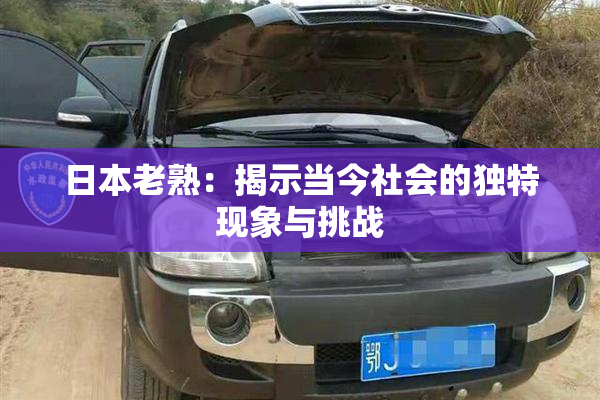 日本老熟：揭示当今社会的独特现象与挑战