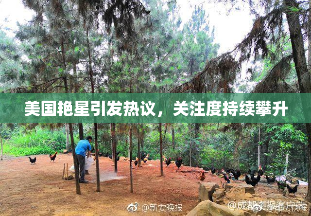 美国艳星引发热议，关注度持续攀升
