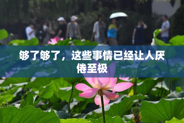 够了够了，这些事情已经让人厌倦至极