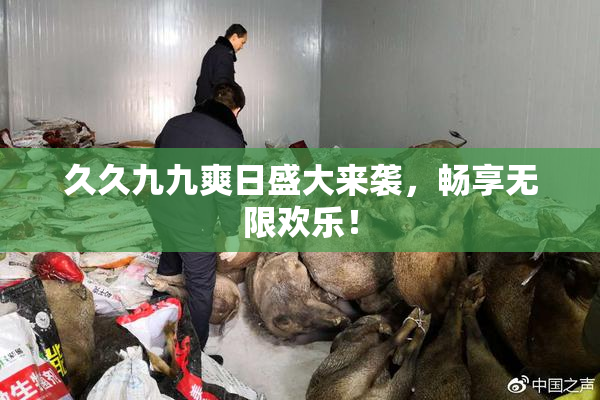 久久九九爽日盛大来袭，畅享无限欢乐！