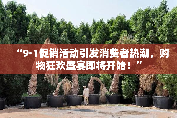 “9·1促销活动引发消费者热潮，购物狂欢盛宴即将开始！”