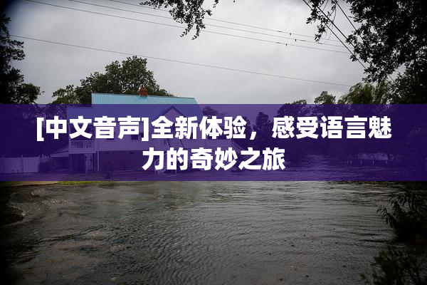 [中文音声]全新体验，感受语言魅力的奇妙之旅
