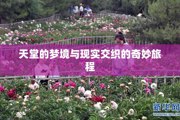 天堂的梦境与现实交织的奇妙旅程