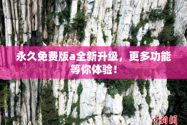 永久免费版a全新升级，更多功能等你体验！