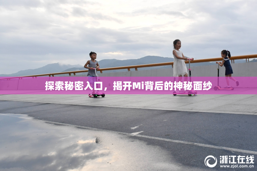 探索秘密入口，揭开Mi背后的神秘面纱