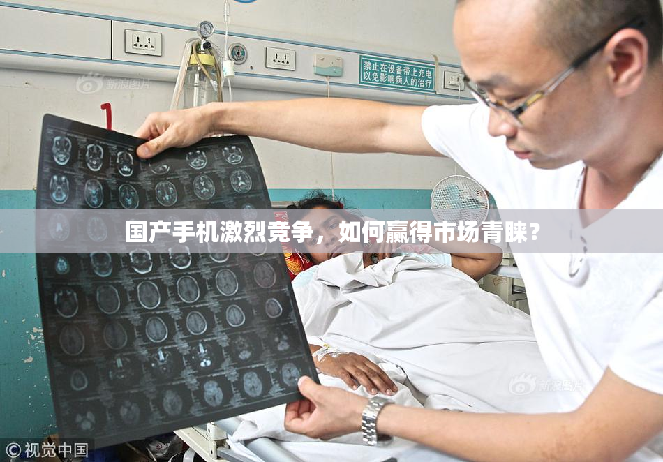 国产手机激烈竞争，如何赢得市场青睐？