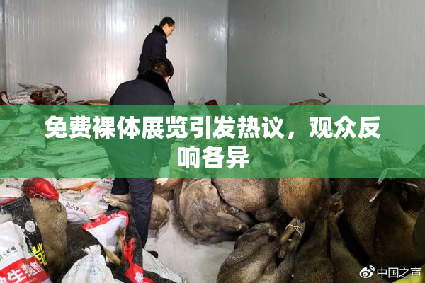 免费裸体展览引发热议，观众反响各异