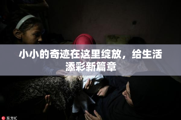 小小的奇迹在这里绽放，给生活添彩新篇章