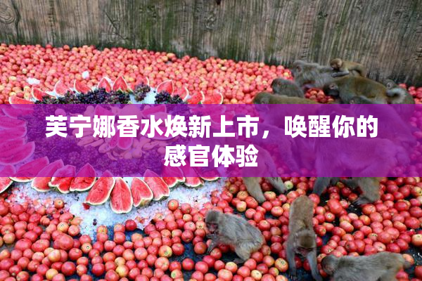 芙宁娜香水焕新上市，唤醒你的感官体验