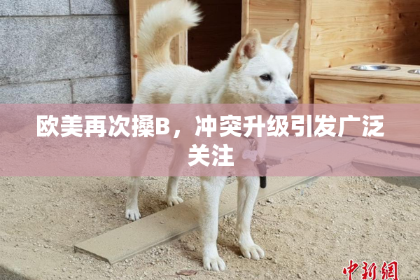 欧美再次搡B，冲突升级引发广泛关注