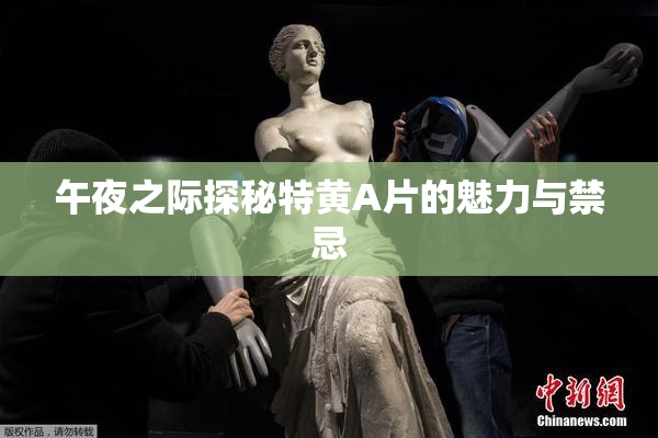 午夜之际探秘特黄A片的魅力与禁忌