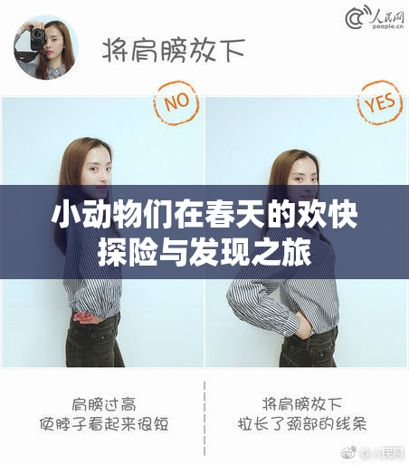 小动物们在春天的欢快探险与发现之旅