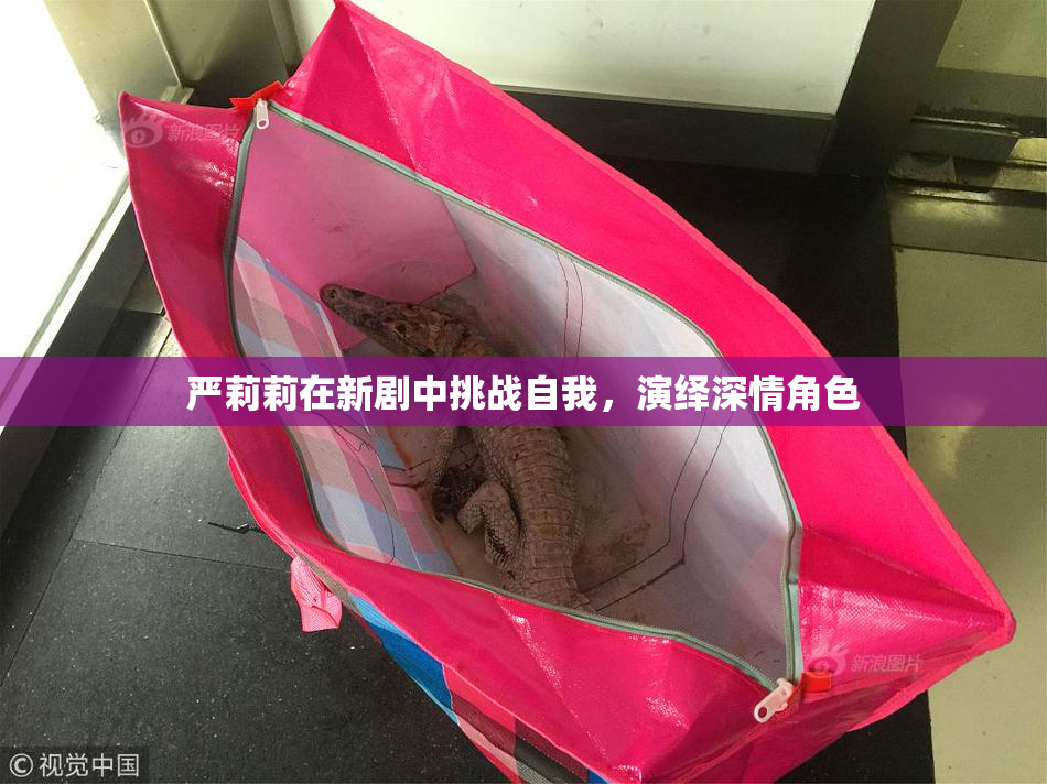 严莉莉在新剧中挑战自我，演绎深情角色