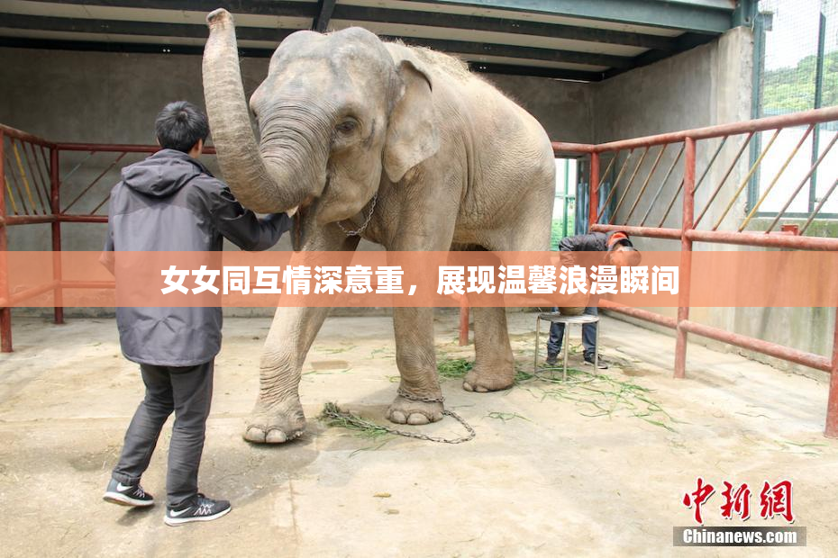 女女同互情深意重，展现温馨浪漫瞬间