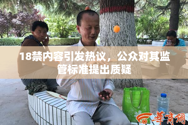 18禁内容引发热议，公众对其监管标准提出质疑