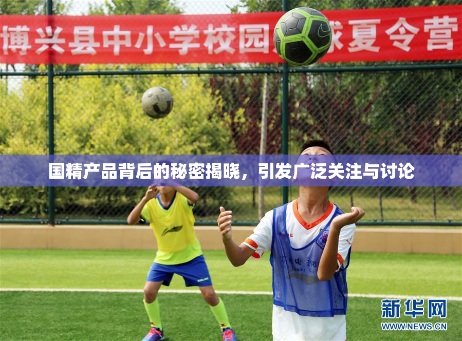 国精产品背后的秘密揭晓，引发广泛关注与讨论