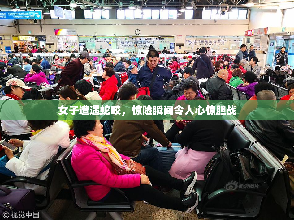 女子遭遇蛇咬，惊险瞬间令人心惊胆战