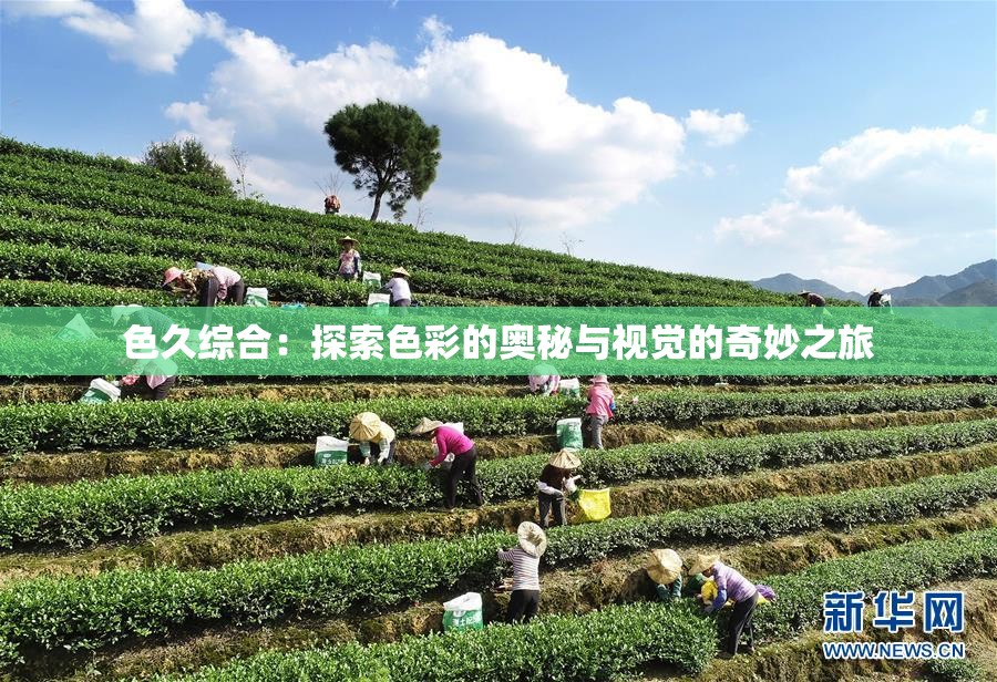 色久综合：探索色彩的奥秘与视觉的奇妙之旅