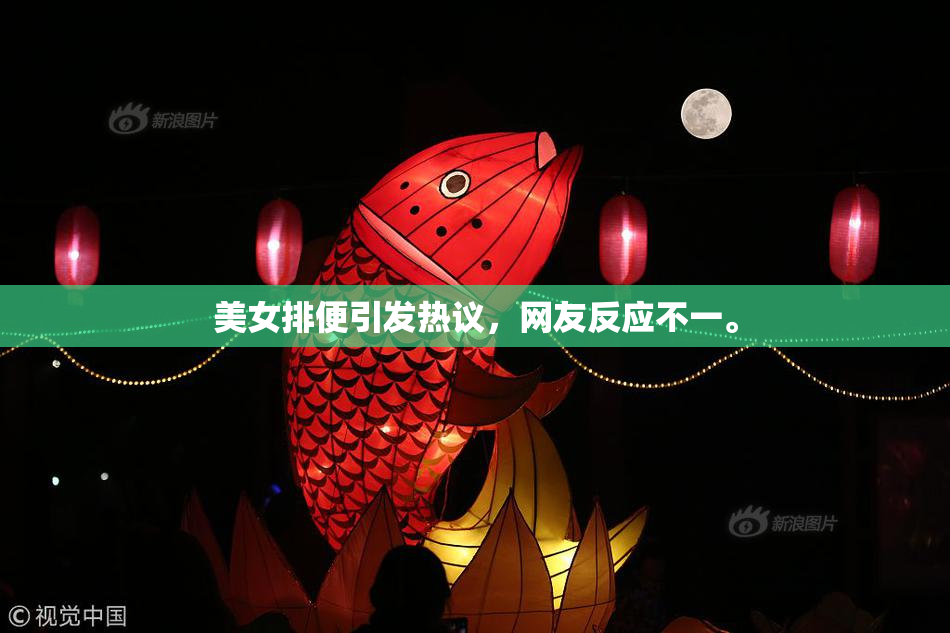 美女排便引发热议，网友反应不一。