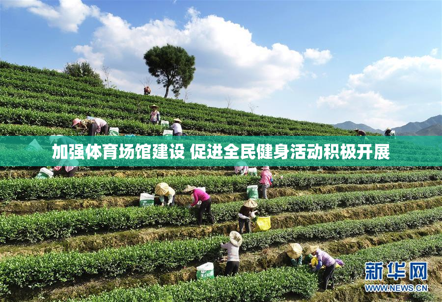 加强体育场馆建设 促进全民健身活动积极开展