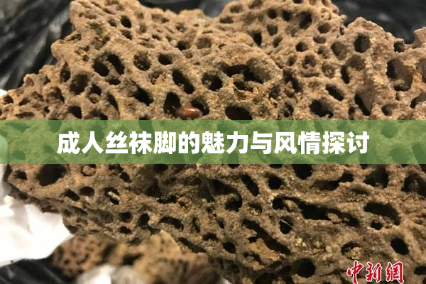 成人丝袜脚的魅力与风情探讨