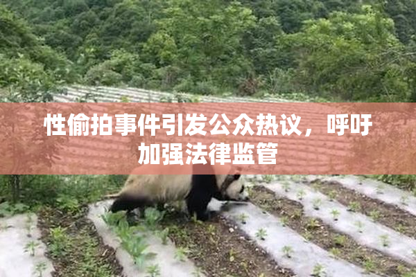 性偷拍事件引发公众热议，呼吁加强法律监管