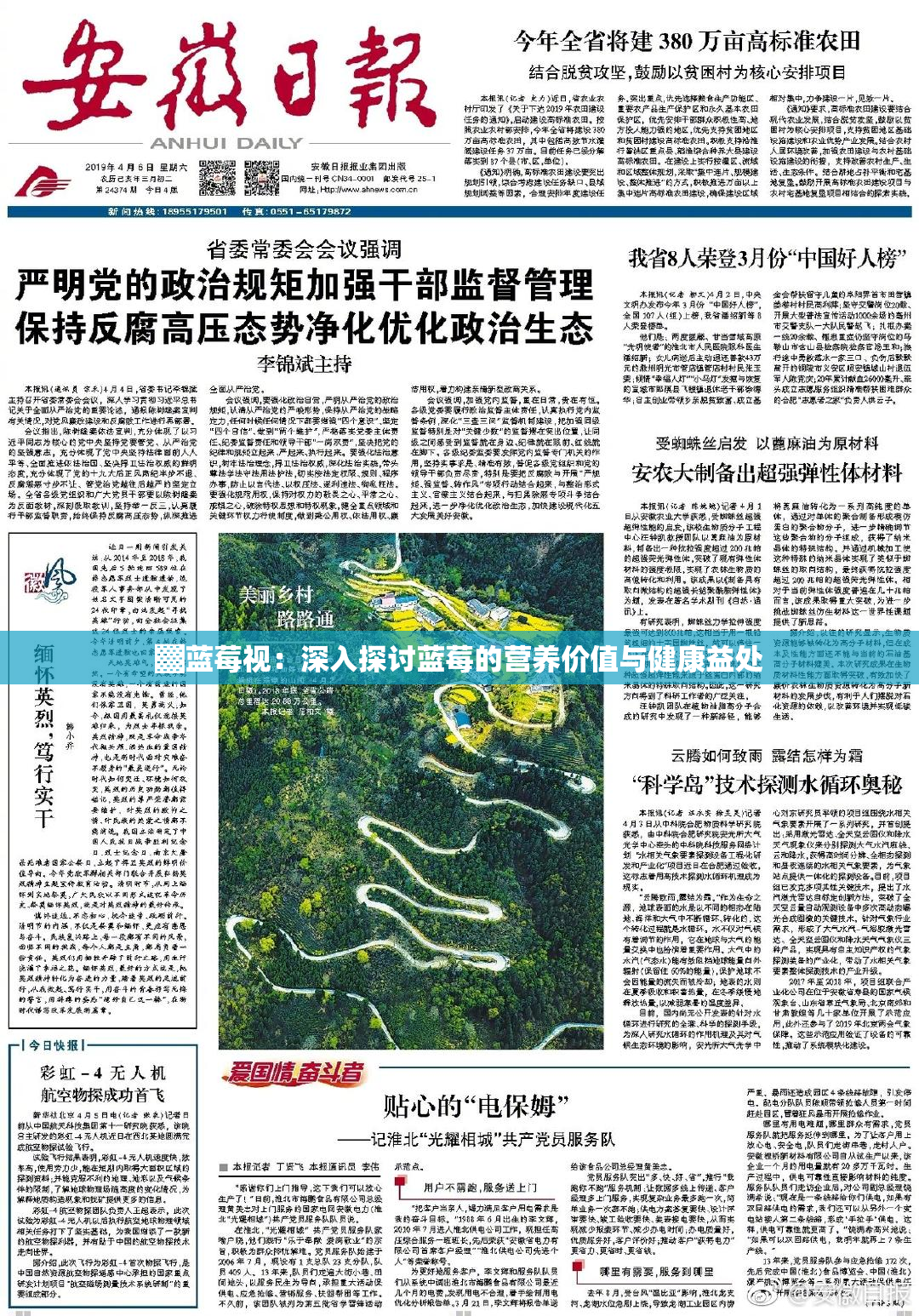 ▓蓝莓视：深入探讨蓝莓的营养价值与健康益处