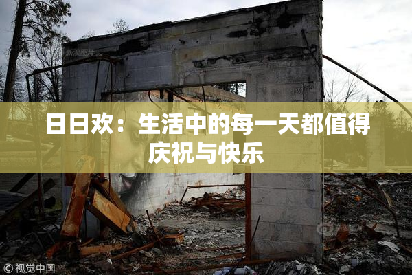 日日欢：生活中的每一天都值得庆祝与快乐