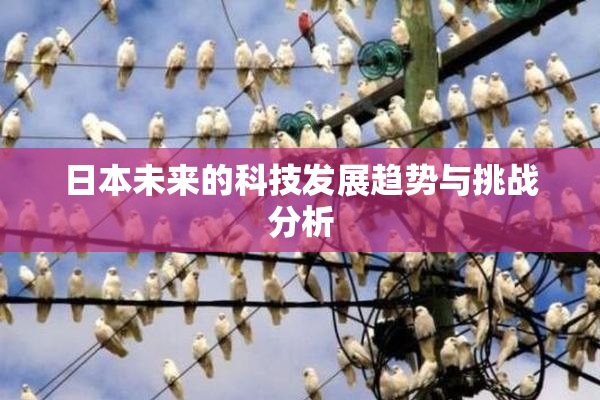日本未来的科技发展趋势与挑战分析